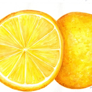 Original Lemon Watercolor Painting: 8x10 Citrus Fruit Botanical Kitchen Wall Art Decor
