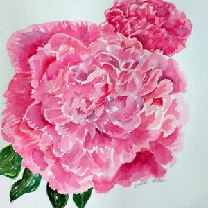 Peonies watercolor painting 10 x 10 Pink Peony watercolor art, watercolor flowers image 2