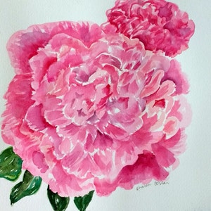 Peonies watercolor painting 10 x 10 Pink Peony watercolor art, watercolor flowers image 4