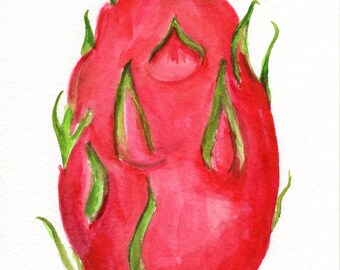 Dragon Fruit original watercolor painting 5 x 7 Pitaya tropical fruit artwork, dragonfruit, home gift