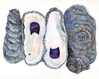 Coastal Decor Watercolor Painting: Original 8x10 Oyster Shell Art for Beach House