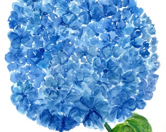 Hydrangea Watercolor Painting - Original 8 x 10, Blue Hydrangeas, Delicate Floral Art