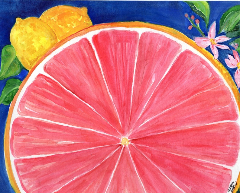 Grapefruit Watercolor Painting Original, Ruby Red Citrus ART 8 x 10 kitchen décor. lemons. citrus blossoms, image 3