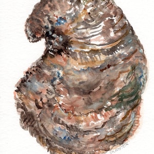 Original Oyster Shell Watercolor Painting: Coastal Beach House Wall Art, Nautical Decor Gift (5x7)