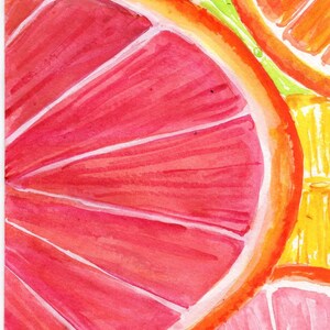 Citrus Watercolor Painting, Original Ruby Red Grapefruit 4 x 6 Kitchen wall art, contemporary botanical image 4