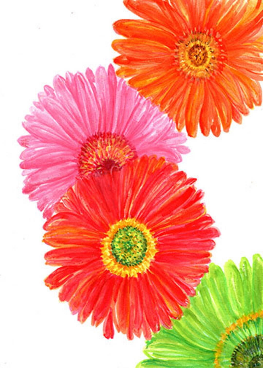 Gerbera Daisies Watercolor Art PRINT Gerber Daisies Flower - Etsy