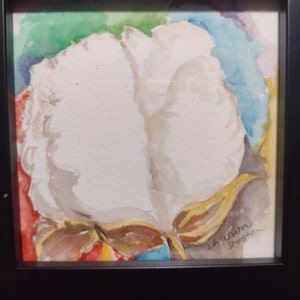Original Cotton watercolor painting, color filled background cotton boll, Framed 4 x 4