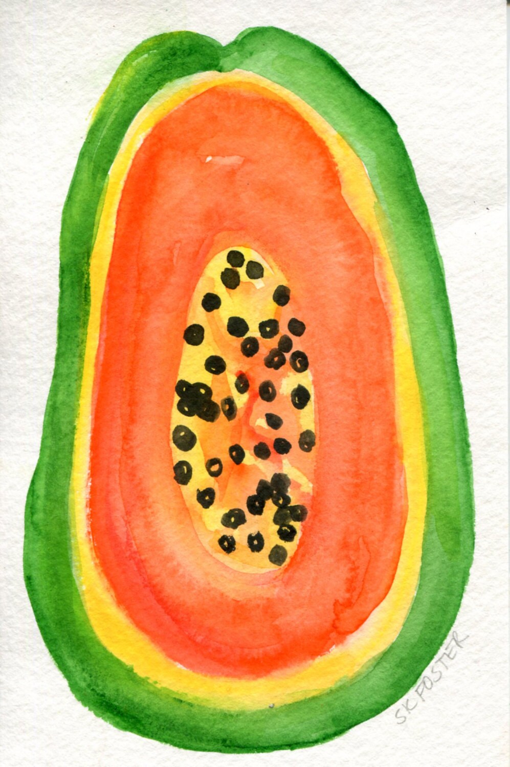 Papaya Watercolor Painting original fruit kitchen decor 4 x Etsy