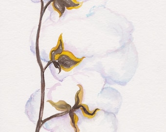 Cotton Bolls on stem Original Watercolor painting 8x10