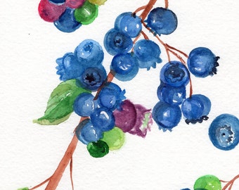 Blueberries Watercolor Painting  original fruit art 5 x 7