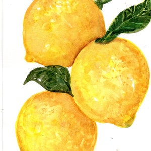 Original Watercolor Painting: Botanical Lemon Art, 5x7 Kitchen Wall Decor, Vibrant Citrus Fruit Artwork