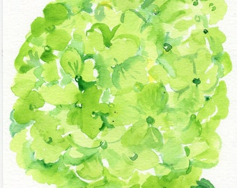 Hydrangea watercolor painting original  5 x 7 Lime Green flower art, home gift, gift