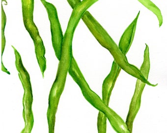 Original Green Beans watercolor painting, Vegetable kitchen decor 8 x 10 hand painted, Culinary watercolor wall art