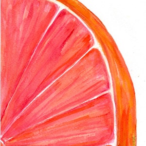 Original Grapefruit Watercolor Painting 5x7 - Ruby Red Citrus Art, Farmhouse Kitchen Decor, Vibrant Fruit Art