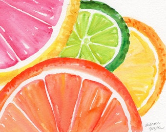 Original Citrus Watercolor Painting, Grapefruit, Lemon, Orange, Lime, Tropical Fruit 5 x 7 kitchen art, home gift