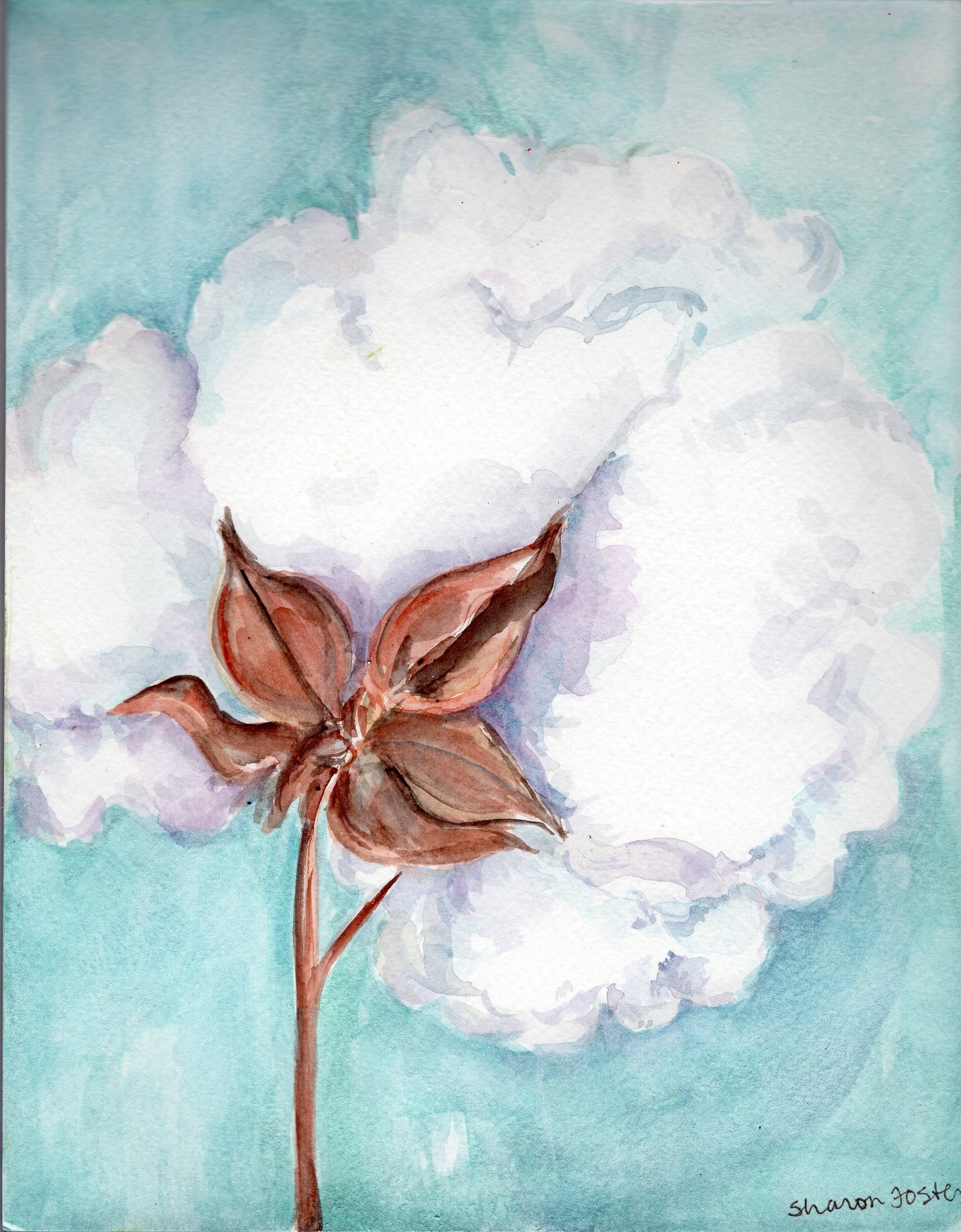 Cotton Boll Watercolor Painting Original 8 X 10 Art Botanical | Etsy