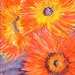 see more listings in the Watercolor flowers section