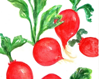 Red radishes bunch Watercolor Painting Original 5 x 7, home ,