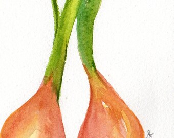 Shallots Watercolor Painting Original,  Kitchen Art, French shallots painting 5 x 7, home ,