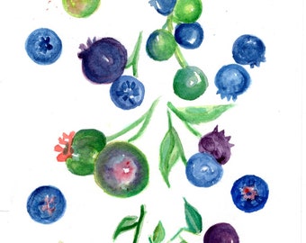 Blueberries Watercolor Painting original Art 5 x 7 Botanical Fruit kitchen wall décor