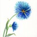 see more listings in the Watercolor flowers section