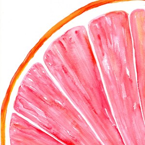 Ruby Red Grapefruit Watercolor Painting: Original Fruit Art, 8x10