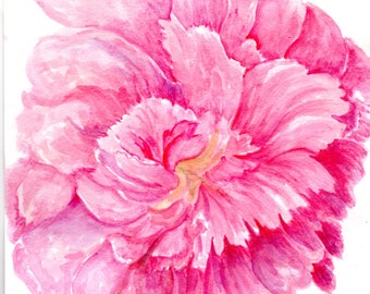 Pink Peony Watercolor Painting Original  8 x 10  peony wall art, peony decor,