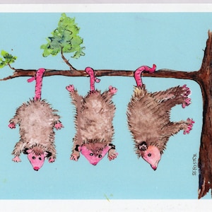 Possums Greeting Card, Print of my original watercolor, opossum  art card, possum greeting card,