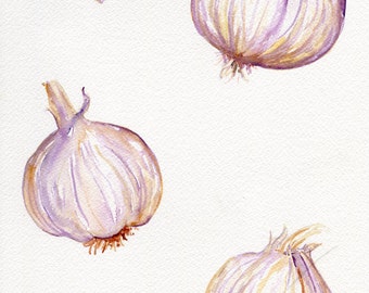 Garlic watercolors painting original, Garlic art 9 x 12, kitchen decor