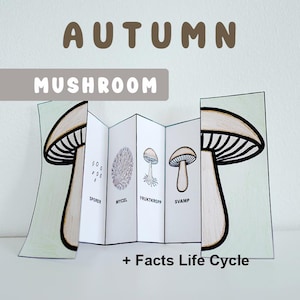 Autumn Printables for Kids | Mushroom Printables | Mushroom Life Cycle | Autumn Crafts | Paper Autumn Activities | Printable Mushroom