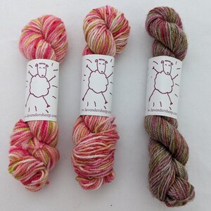 Apple Blossom Mini Yarn Skeins - 50 yards