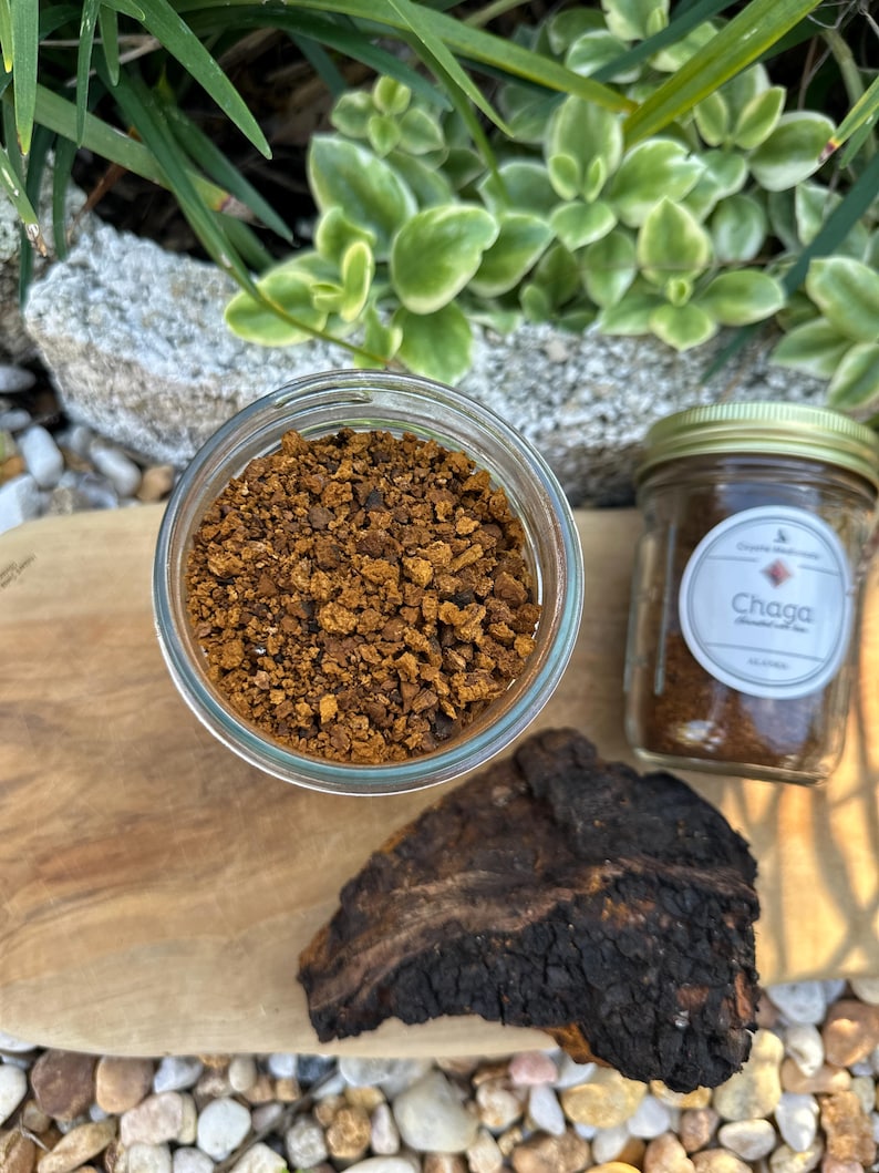 Wild-harvest Alaskan Chaga Mushroom, Naturally Dried, Ground Powder for ...