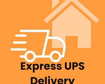 Fast Delivery