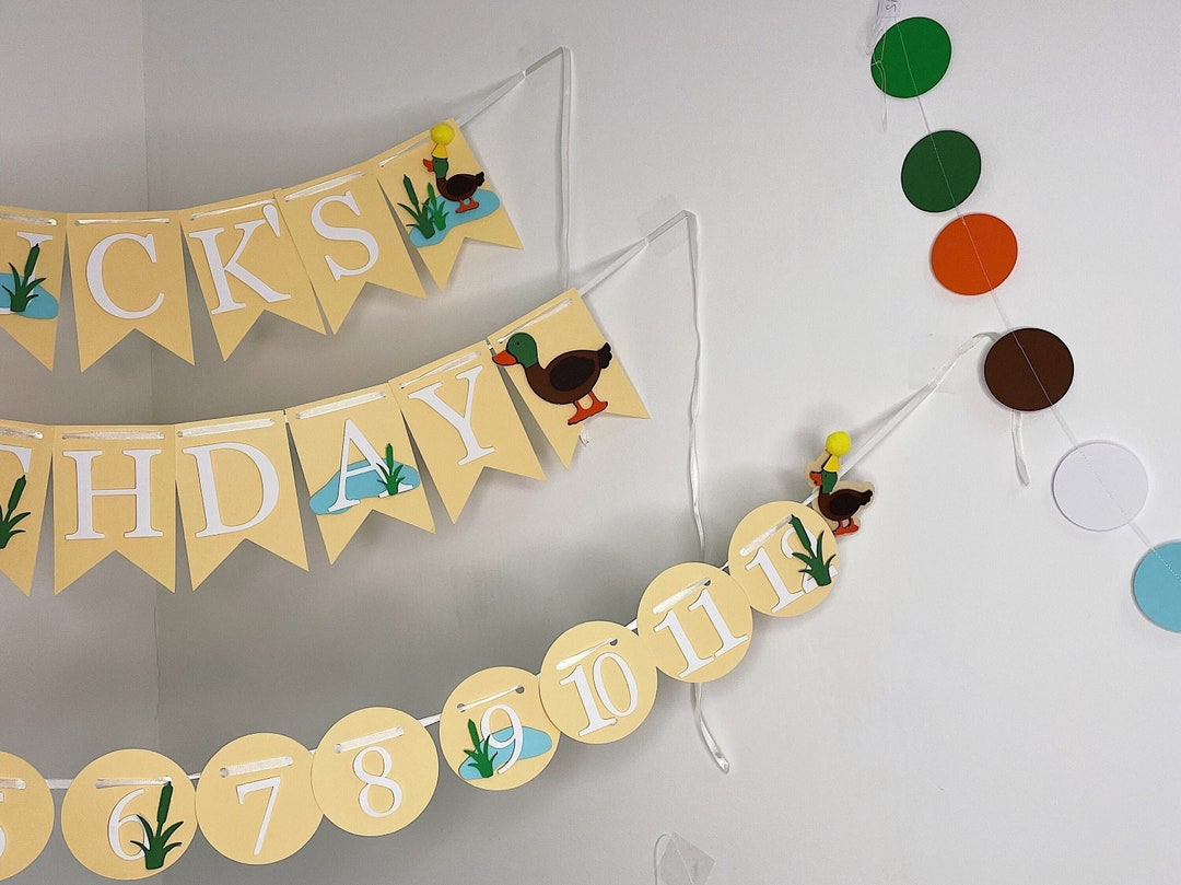 One Duck Party 12 Month Banner Baby Duck First Birthday Mallard Duck ...