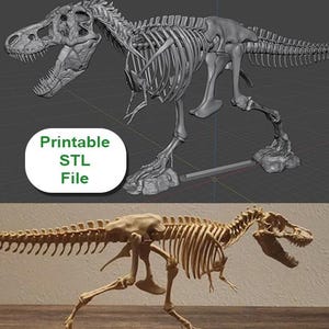 Freistehendes Skelett des Tyrannosaurus Rex STL Download - Hochgenaues Fossil-Modell für den 3D-Druck.