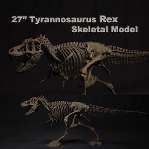 Könnte beinhalten: Ein 27-Zoll Tyrannosaurus Rex Skelettmodell mit einer detaillierten braunen, fossilisierten Knochenstruktur. Das Dinosaurierskelett ist in einer dynamischen Laufpose mit offenem Kiefer, sichtbarem Brustkorb und langem Schwanz dargestellt.