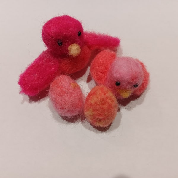 adorable Bird Family