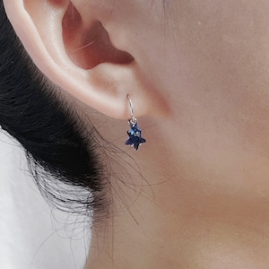 May include: A pair of silver star-shaped earrings with a dark blue crystal center. The earrings are dangling from a silver hook.