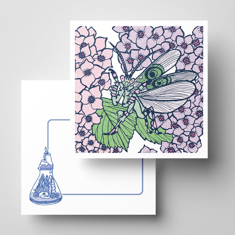 Mantis card image 1