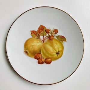 Vintage Bavaria Bareuther Waldsassen gilded salad/desert plate, fruits and nuts pattern, fine China, Germany