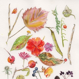 Garden watercolor Nature art Original Painting Autumn Forest Keepsakes - fall colors - botanical home decor - cottage decor - botanical