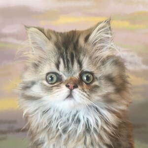 Custom cat portrait, realistic pet art, lifelike, hand painted, digital pet painting, on paper, from your photo, cat art, memorial portrait