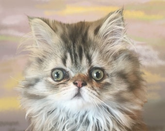 Custom cat portrait, realistic pet art, lifelike, hand painted, digital pet painting, on paper, from your photo, cat art, memorial portrait