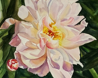 White peony watercolor original painting, pink peony art, pink flower painting, peonies wall decor on sale