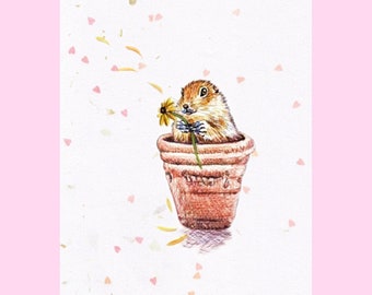 Ground Hog in flower pot Valentines Day Greeting Card Note Card loves me loves me not arctic  lovesick groundhog art