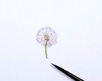 dandelion mini art - flower seed head original miniature watercolor - collectible micro watercolor - dandelion tiny artwork - make a wish