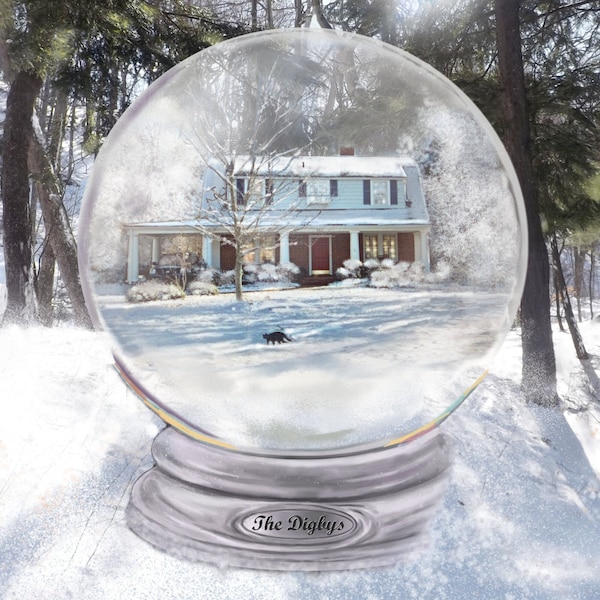 Snow Globe custom Home Portrait PAINTING of your house or pet depicted inside a fantasy 2-D Snow Globe with a snowy background