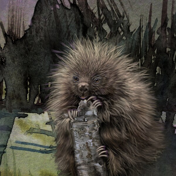 Porcupine Art - Etsy