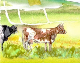 Cow and Bull in Farm Field Fine art print on paper, dairy cow art, farmhouse decor