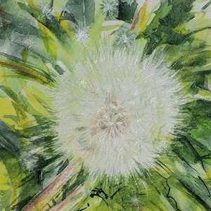 Dandelion watercolor painting, dandelion flower seed head original artwork by Michigan artist Mary Jill Lemieur